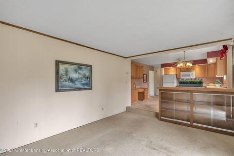 12754 Rambler Rd, Dewitt, MI 48820 photo 21