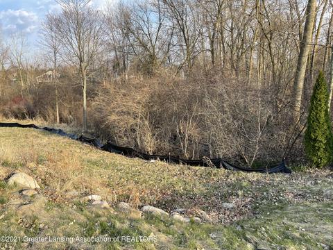 3620 Beech Tree Ln, Okemos, MI 48864 photo 4