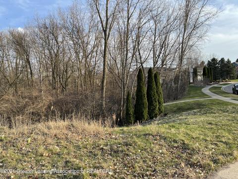 3620 Beech Tree Ln, Okemos, MI 48864 photo 2