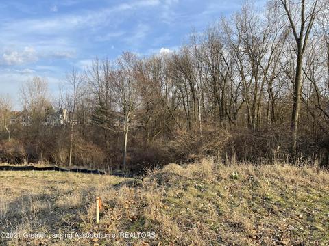 3620 Beech Tree Ln, Okemos, MI 48864 photo 8