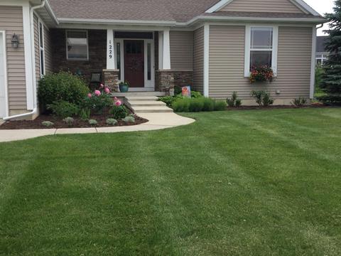1229 Lobelia Ln, Dewitt, MI 48820 photo 2