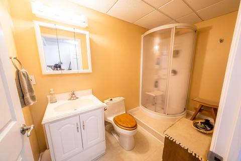 218 Oakwood Dr, Dewitt, MI 48820 photo 42