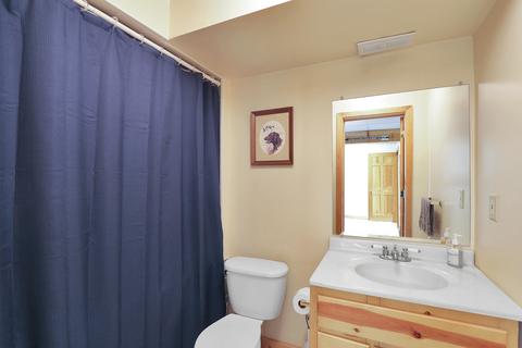 1908 Dell Rd, Lansing, MI 48911 photo 23