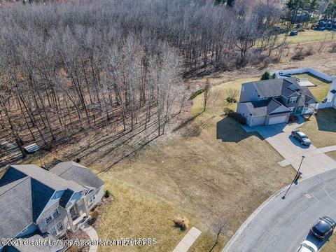 13645 Honeylocust Dr, Dewitt, MI 48820 photo 1