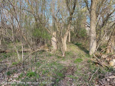 6127 Sleight Rd, Bath, MI 48808 photo 12