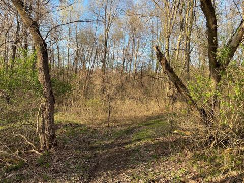 6127 Sleight Rd, Bath, MI 48808 photo 18