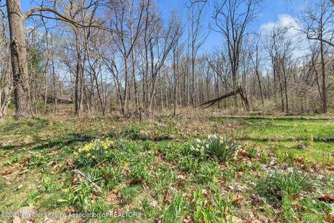 4320 Bailey Rd, Dimondale, MI 48821 photo 17