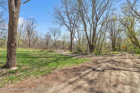 4320 Bailey Rd, Dimondale, MI 48821 photo 23