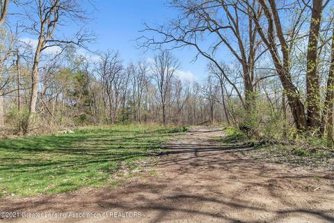 4320 Bailey Rd, Dimondale, MI 48821 photo 21