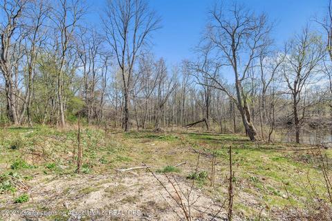 4320 Bailey Rd, Dimondale, MI 48821 photo 20