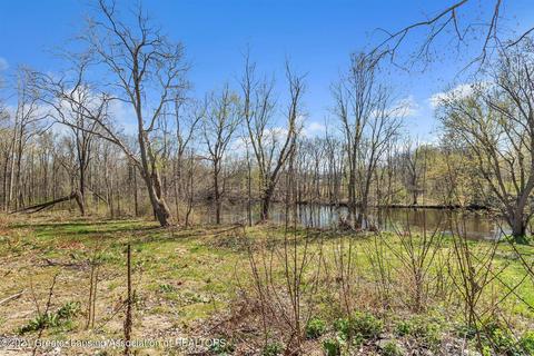 4320 Bailey Rd, Dimondale, MI 48821 photo 18