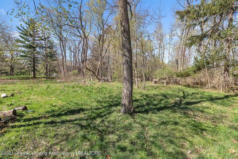 4320 Bailey Rd, Dimondale, MI 48821 photo 13