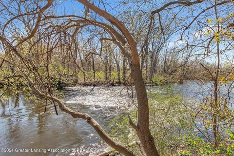 4320 Bailey Rd, Dimondale, MI 48821 photo 4