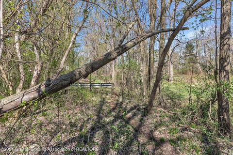4320 Bailey Rd, Dimondale, MI 48821 photo 3