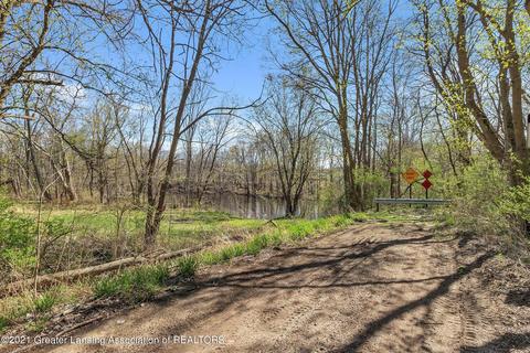 4320 Bailey Rd, Dimondale, MI 48821 photo 22