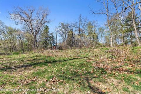 4320 Bailey Rd, Dimondale, MI 48821 photo 15