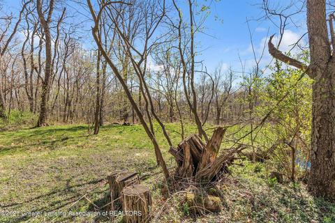 4320 Bailey Rd, Dimondale, MI 48821 photo 11