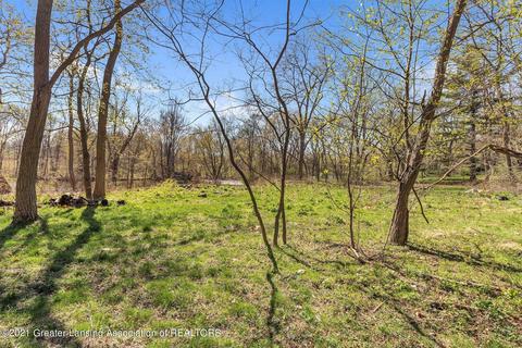 4320 Bailey Rd, Dimondale, MI 48821 photo 12