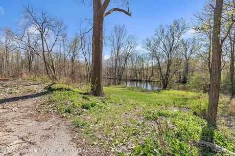 4320 Bailey Rd, Dimondale, MI 48821 photo 19