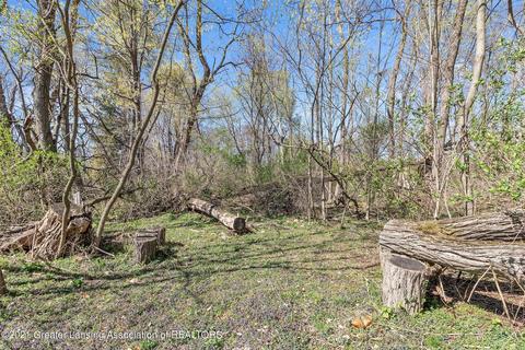 4320 Bailey Rd, Dimondale, MI 48821 photo 10