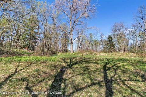 4320 Bailey Rd, Dimondale, MI 48821 photo 8