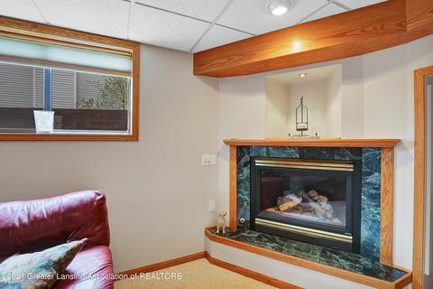107 Windyrush Ln, Dewitt, MI 48820 photo 44
