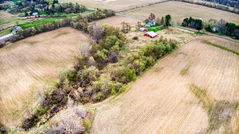 10280 W Herbison Rd, Eagle, MI 48822 photo 34