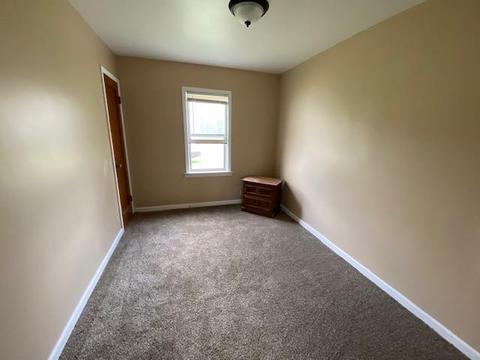 159 E Cedar St, Elsie, MI 48831 photo 16