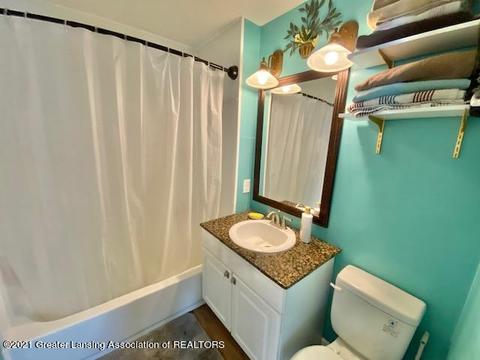 159 E Cedar St, Elsie, MI 48831 photo 13
