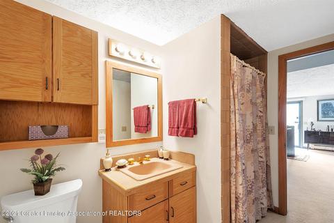 2900 Pine Tree Rd, Lansing, MI 48911 photo 29