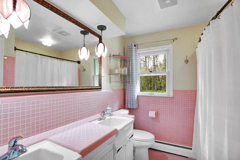 1180 E Twinbrook Dr, Dewitt, MI 48820 photo 16
