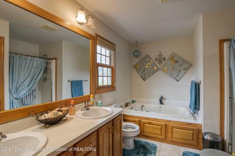11671 Rachel Ln, Dewitt, MI 48820 photo 18