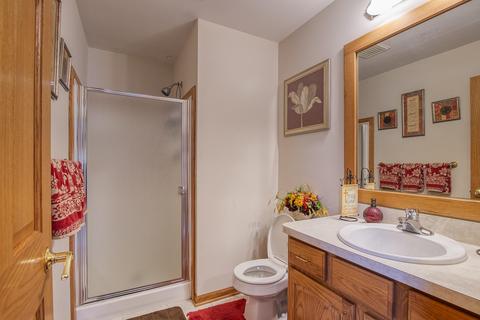11671 Rachel Ln, Dewitt, MI 48820 photo 22