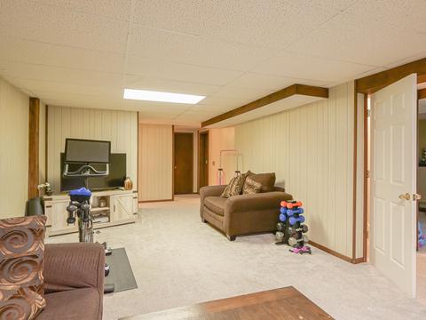 1202 Redpole, Dewitt, MI 48820 photo 24