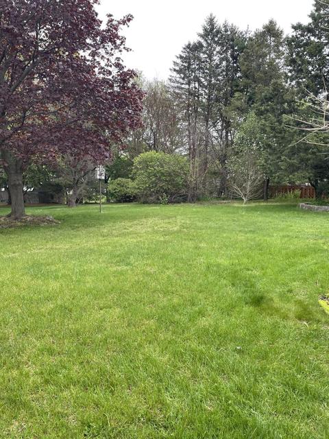 6520 Lansdown Dr, Dimondale, MI 48821 photo 9