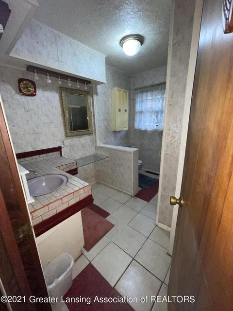 6520 Lansdown Dr, Dimondale, MI 48821 photo 20