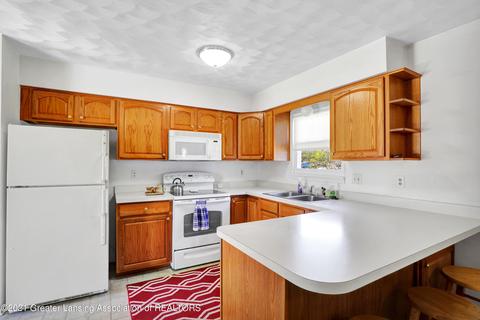 13060 S Airport Rd, Dewitt, MI 48820 photo 6
