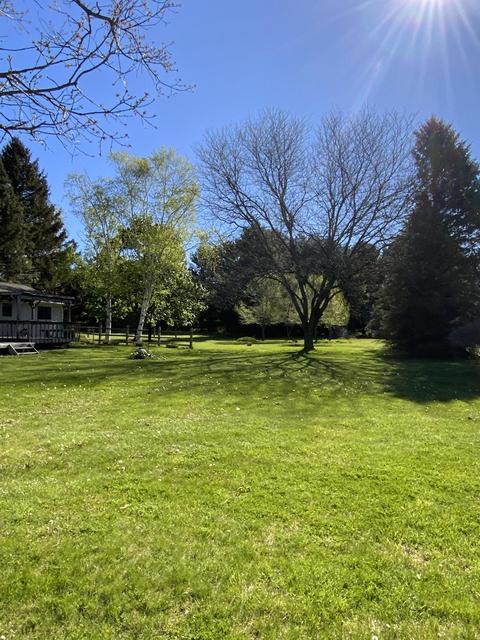 1122 Haslett Rd, Williamston, MI 48895 photo 21