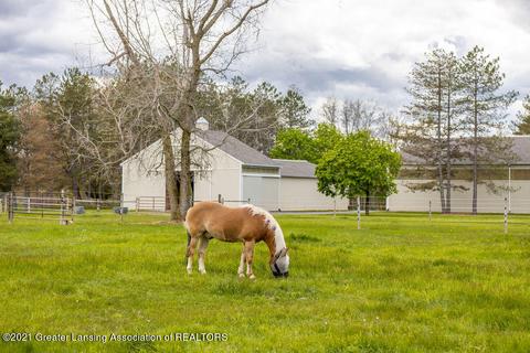 4341 Van Atta Rd, Okemos, MI 48864 photo 51