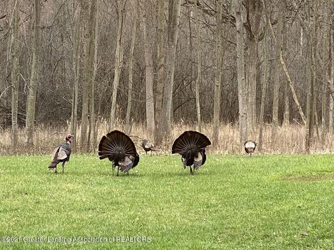 4341 Van Atta Rd, Okemos, MI 48864 photo 61