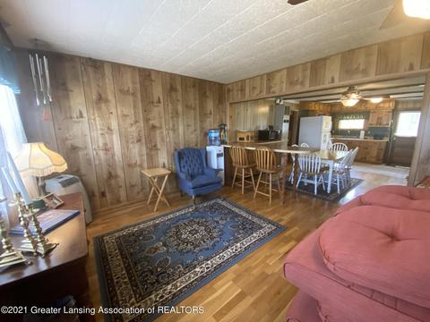 1031 Thompson Dr, Stanton, MI 48888 photo 15