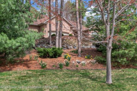3935 Norway Pine Drive Dr, Dewitt, MI 48820 photo 53