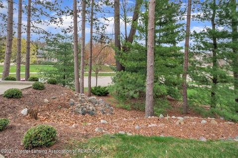 3935 Norway Pine Drive Dr, Dewitt, MI 48820 photo 45
