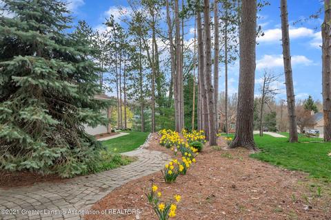 3935 Norway Pine Drive Dr, Dewitt, MI 48820 photo 49