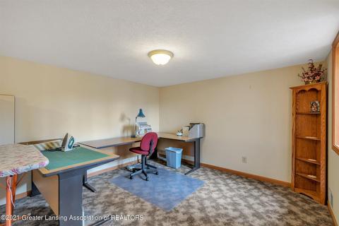 3935 Norway Pine Drive Dr, Dewitt, MI 48820 photo 36
