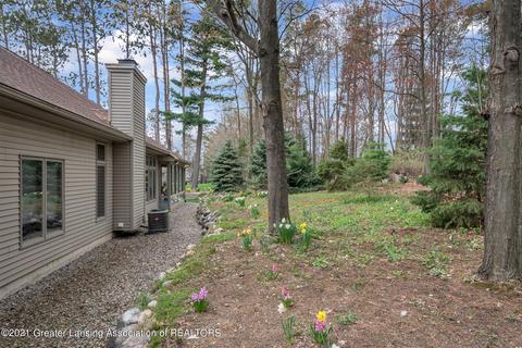 3935 Norway Pine Drive Dr, Dewitt, MI 48820 photo 51