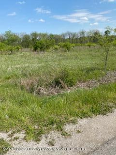 13177 Dennison Rd, Milan, MI 48160 photo 2