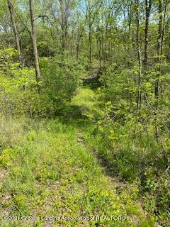 13177 Dennison Rd, Milan, MI 48160 photo 4