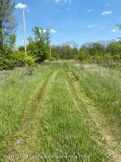 13177 Dennison Rd, Milan, MI 48160 photo 3