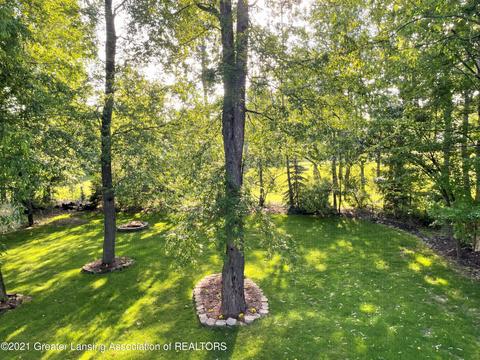 711 Pine Ridge Dr, Dewitt, MI 48820 photo 33